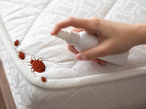 Best Pest Inspection Near Me  in Seneca, SC