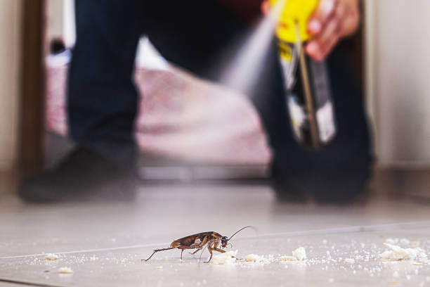 Professional Pest Control in Seneca, SC