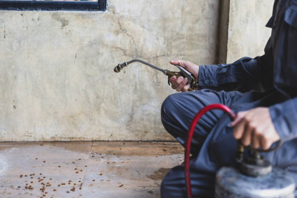 Best Pest Control Cost  in Seneca, SC
